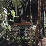 Siwa Tulum Full Wellness Experience & Food Included - Alcohol Not Included