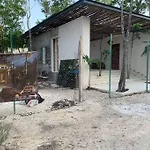 Tulum Jungle Treehouse