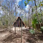 El Cenote 11:11