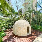 Spacious And Elegant Studio With Pool, Gym, Temazcal