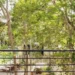 New 1 Bed - - Private Terrace * Tulum