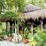 Glamping Bunga Lotus Campsite Tulum
