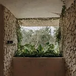 Casa Zebrina Designer *