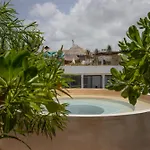 Apartamento Depto De Lujo Con Plunge Pool Privada *