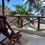 Bt Live Located At The Party Zone Tulum