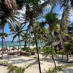 Bt Live Located At The Party Zone 4* Tulum