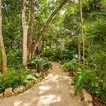 Tuane Tulum Luxury Homes