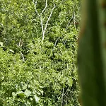 Luxury Beach Apartment In The Most Exclusive Area Of Tulum