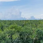 Tulum Jungle Views