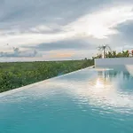 Tulum Jungle Views
