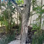 Comfy 5 Mins From Tulum