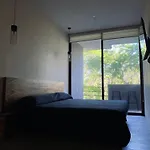 La Veleta Modern Jungle Living