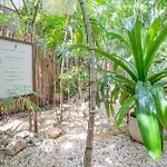 Exclusive Ph Art House Free Access 2 The Beach