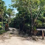 Amazing Eco Palapa At Private Beach In Sian Kaan.