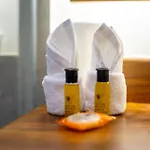 La Veleta Getaway At Asana Leaf House Sleeps 12