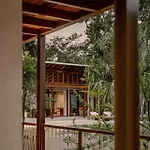 Casa Tropical 4br Pool And Enchanting Cenote