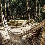 Escarabajo Rojo La Casa Principal