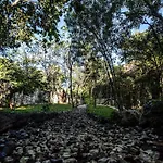 Escarabajo Rojo La Casa Principal