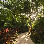 Stunning 2 Bd Mistiq Ph Rooftop Private Pool Tulum