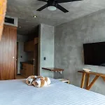 Impresionante Tuk 4*