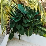 Co.bañitas * Tulum