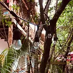 - Aldea Mangle&cenote * Tulum