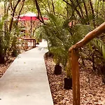 - Aldea Mangle&cenote Lodge *