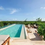 Focus La Veleta Nature Haven