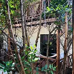 - Aldea Mangle&cenote Lodge *