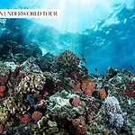 Pretty Downtown House With Private Pool