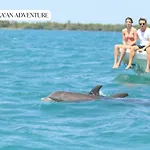 Pretty Downtown House With Private Pool