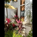 Discover Your Tulum Sanctuary Stylish Studio In Vibrant La Veleta