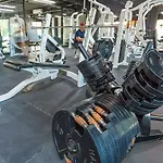 Pool, Bikes, Jungle View And Good Vibes