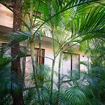 Your Dream Pool Bikes & Near Every Hotspot * Tulum