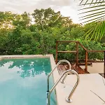 Casa Hibiscus Sky-high Pool With Birds Above The Jungle Tulum