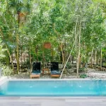 Luxurious Oasis Jacuzzi With Art Gallery And Pool