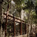 Private Jungle - Pool & Concierge For 21 * Tulum