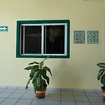 Oyo Hotel Palma Real