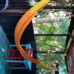 Hostel Rancho Tranquilo Tulum