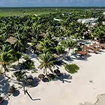 Bt Live Located At The Party Zone 4* Tulum