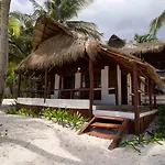 Bt Live Located At The Party Zone 4* Tulum