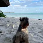 Soliman Bay Beachfront Villa