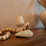 Apartamento Magical Jacuzzi At Jungle 