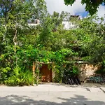 Teva Tulum, Aldea Zama