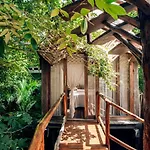 Jungle Sanctuary Wellness Retreat W Pool Bar Spa