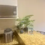 Casa Vibe Penthouse, Private Pool & 3 Balconys