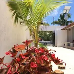 Toloc Tulum
