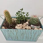 Casa Pitahaya