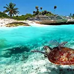 Naay Bej Hotel Tulum