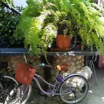 Hostel Rancho Tranquilo Tulum